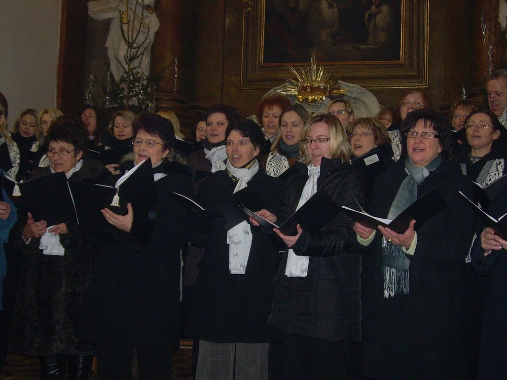 koncert Telč leden 2010 013.jpg