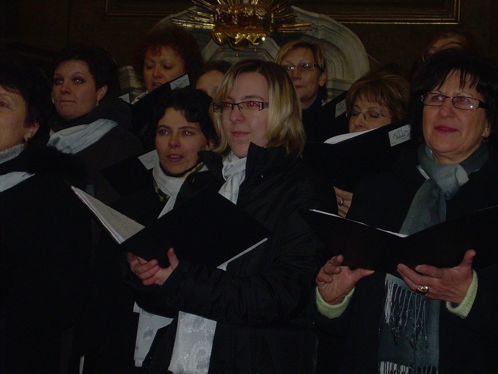 koncert Telč leden 2010 020.jpg