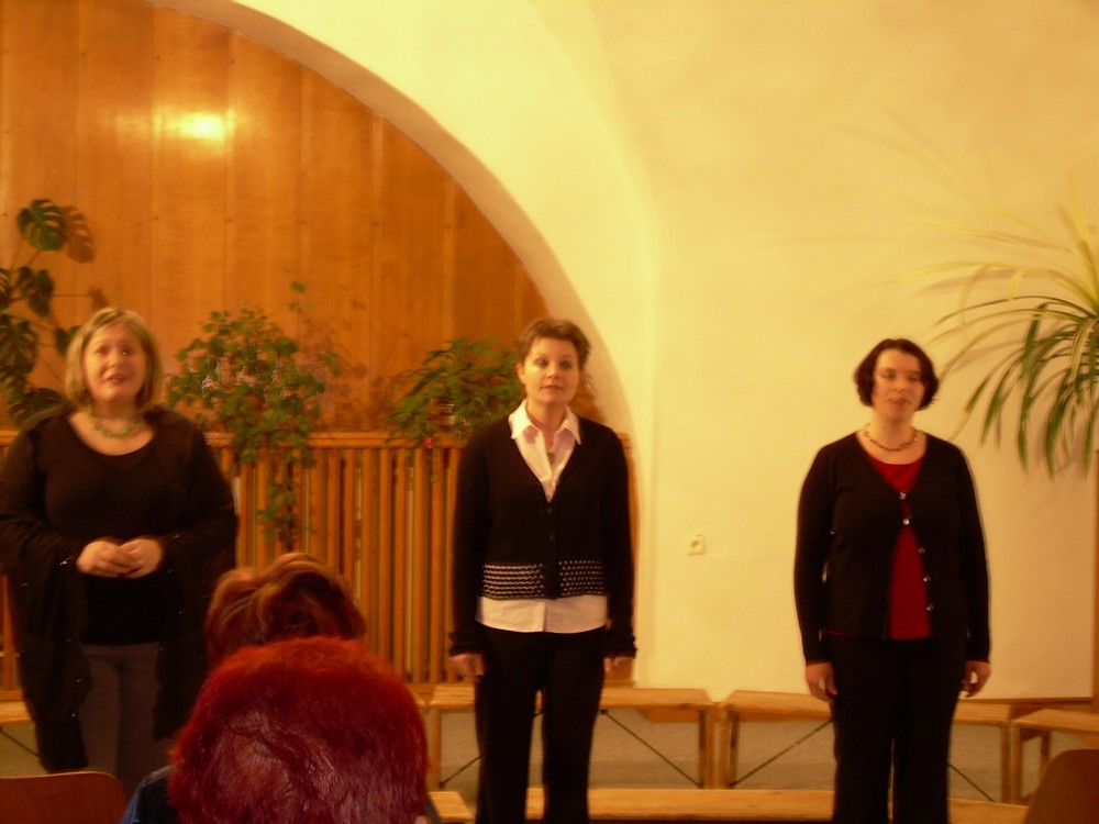 prosinec 012.jpg