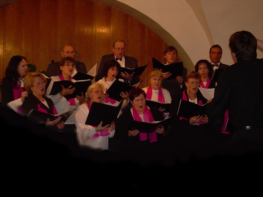 prosinec 016.jpg